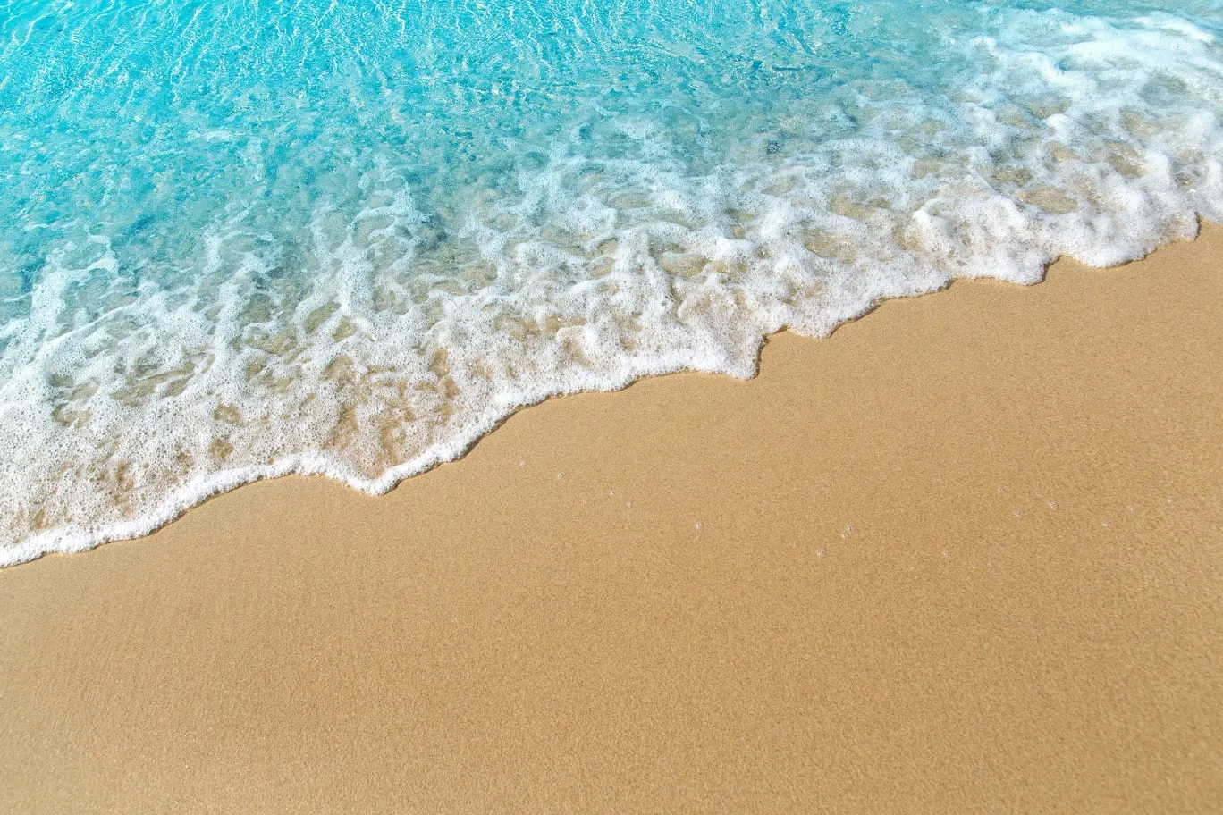 Conference Speaker Talk